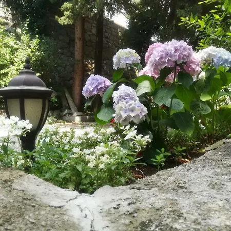 Apartament Darinka